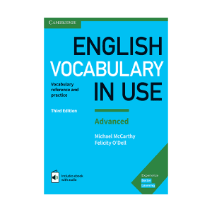 English Vocabulary In Use Advanced