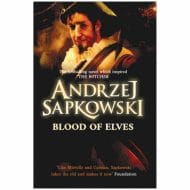 The Witcher Blood of Elves 7