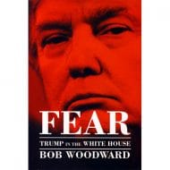 FEAR TRUMP IN THE WHITE HOUSE 19