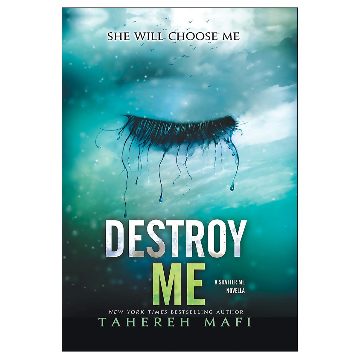 خرید Destroy Me از انتشارات دنیای زبان خرید Destroy Me از انتشارات دنیای زبان