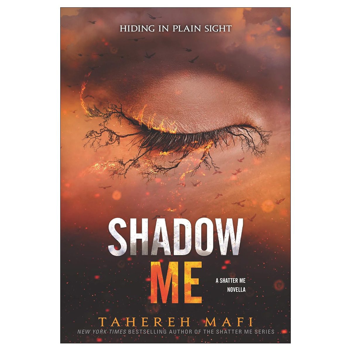 خرید Shadow Me از انتشارات دنیای زبان خرید Shadow Me از انتشارات دنیای زبان